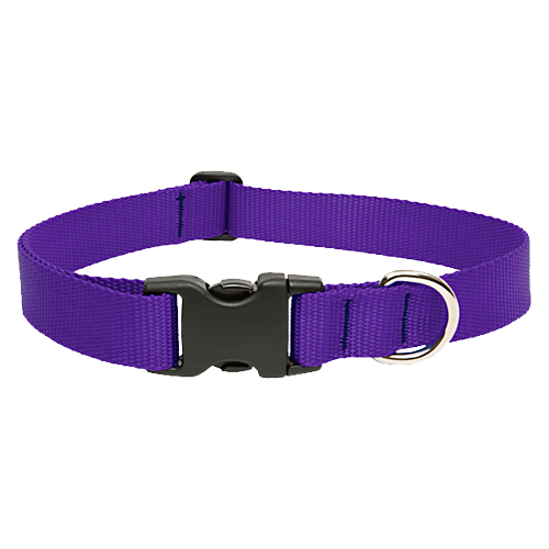 Purple 1&quot; Adjustable Collar