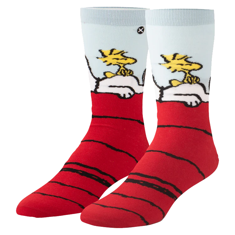 Charlie Brown Socks - Snoopy and Woodstock