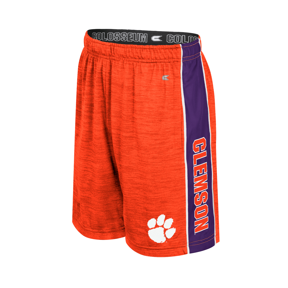 Creative Control Clemson Youth Shorts
