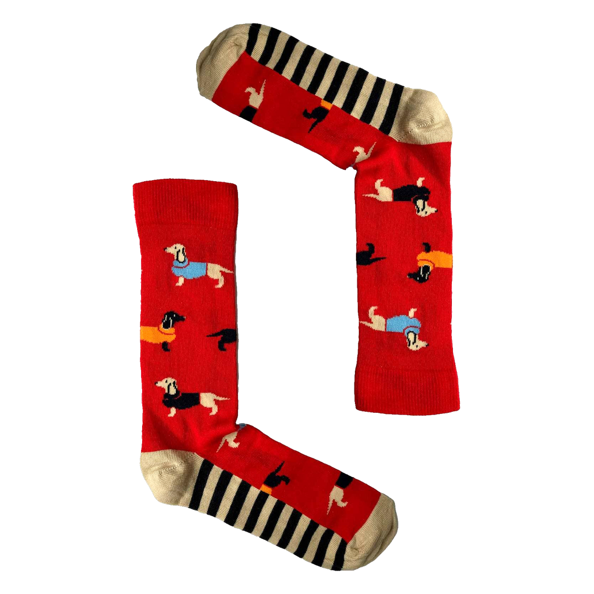 Dog socks - 3 Pairs