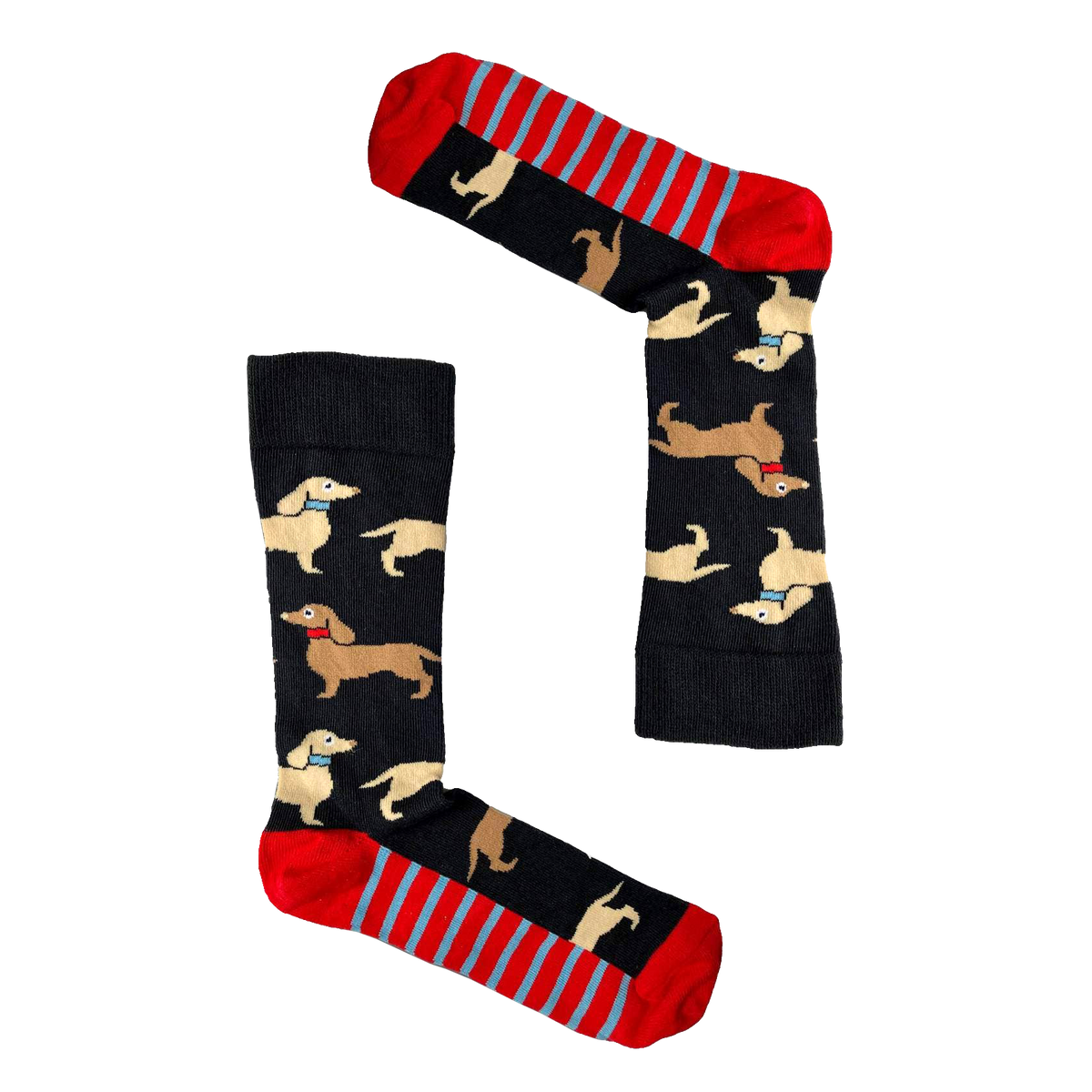 Dog socks - 3 Pairs