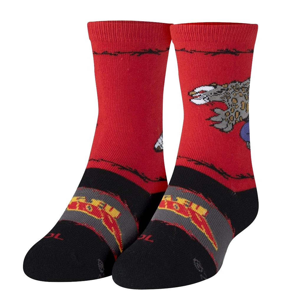 Kung Fu Panda Socks - Kids - 7-10