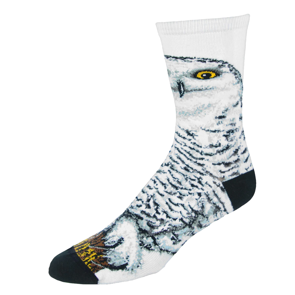 Realistic Snowy Owl