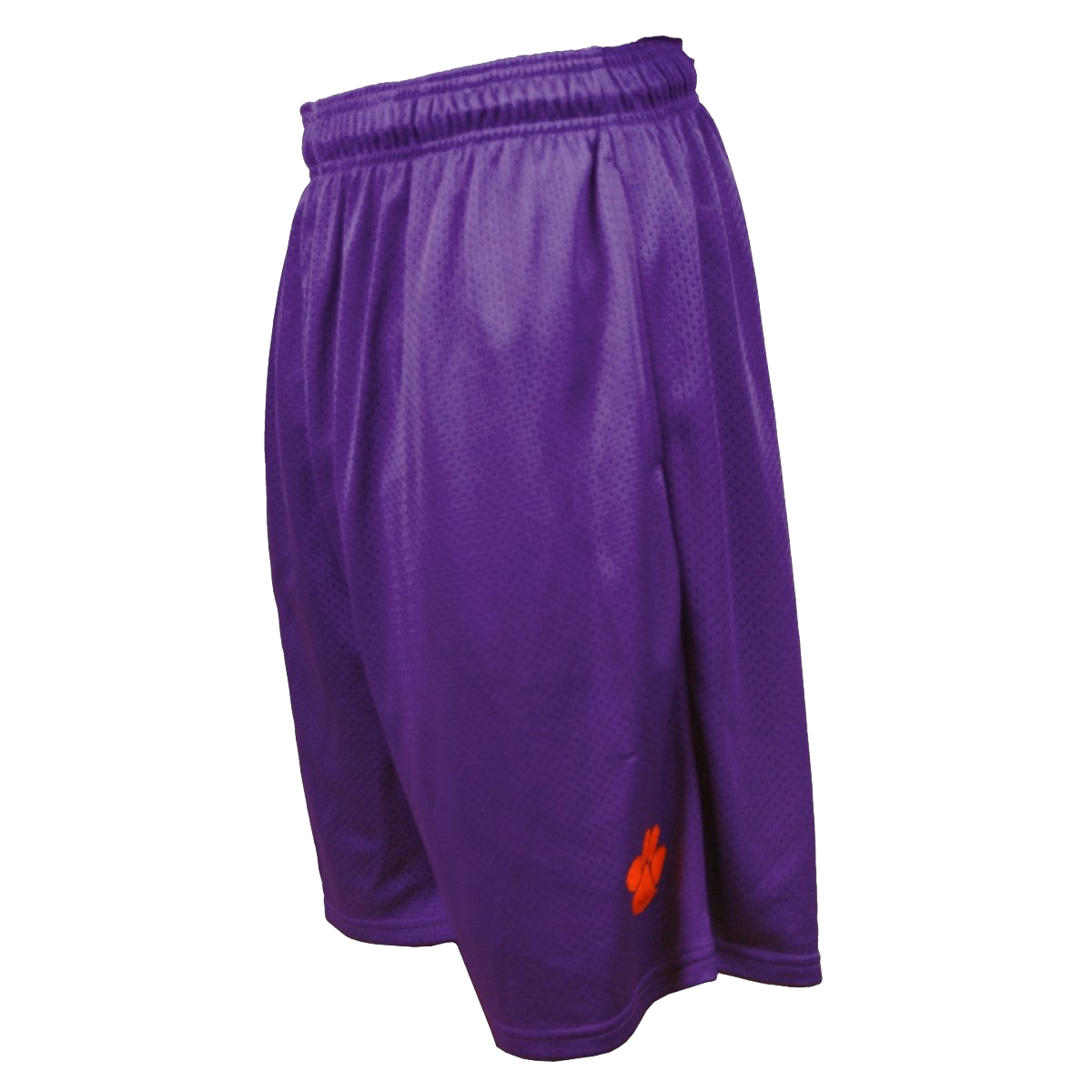 Mesh Shorts With Paw | Youth - Purple