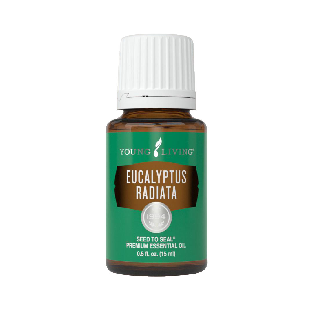 Eucalyptus Radiata Essential Oil 15ml