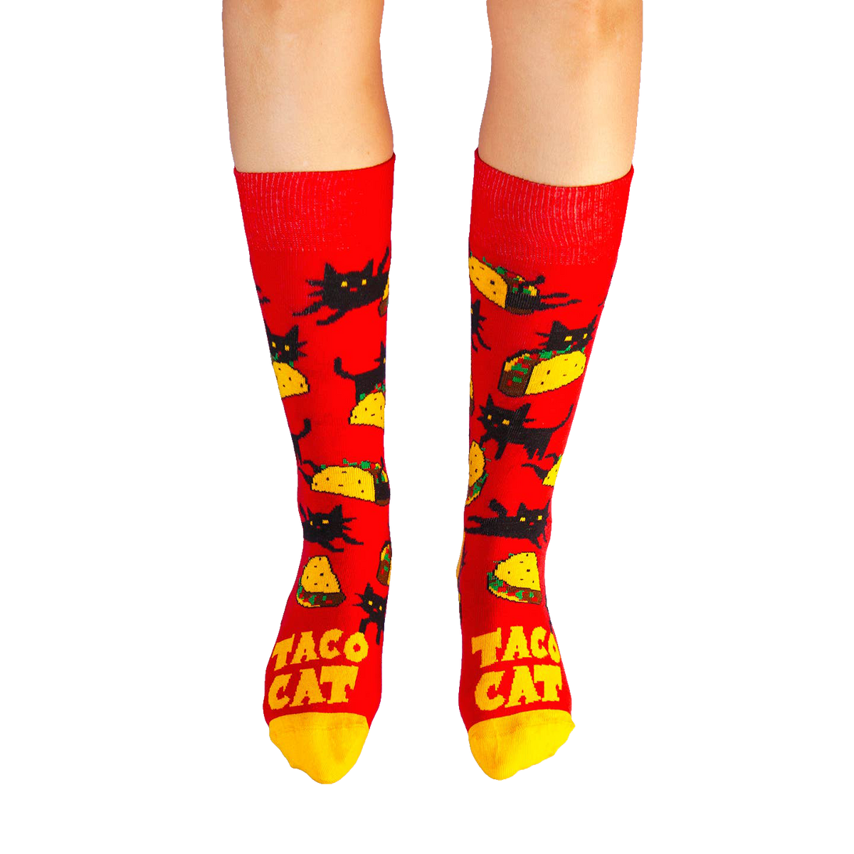 Tacocat Socks